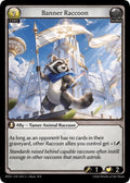 Banner Raccoon