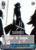 Two on One, Shadow (SR)